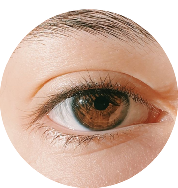 Eyes